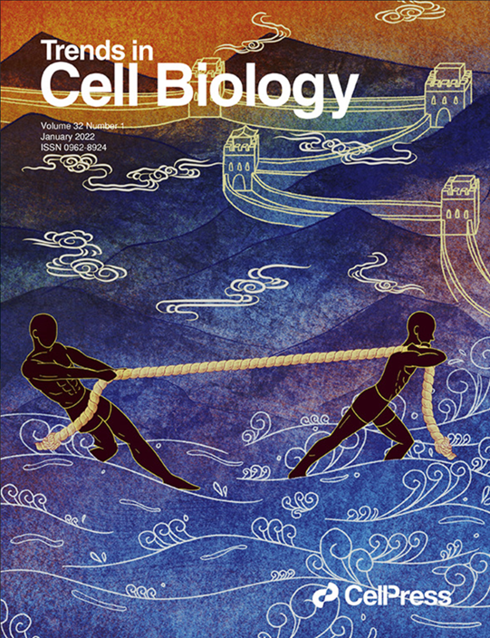 清华大学​医学院杜亚楠课题组应邀在Trends in Cell Biology综述纤维化进程中的机械通讯-肽度TIMEDOO