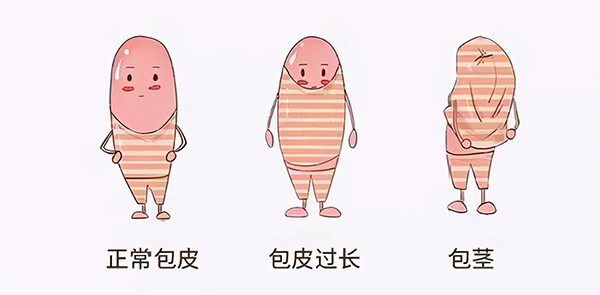 10.jpg 10.jpg